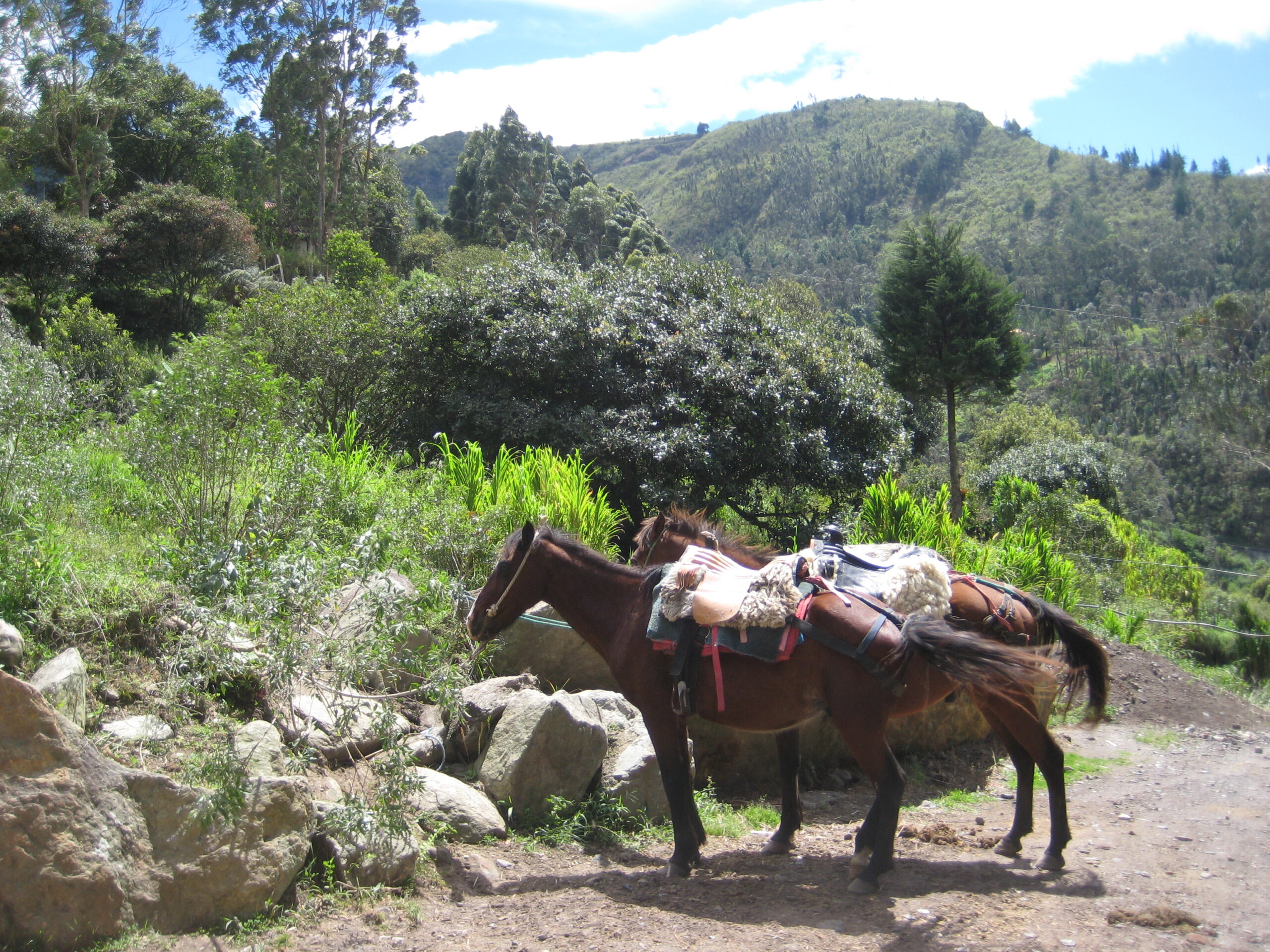 Ecuador Banos paardrijden
